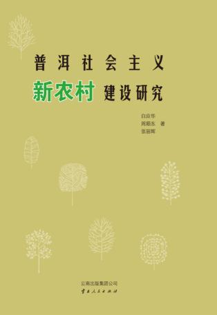 普洱社会主义新农村建设研究 封面