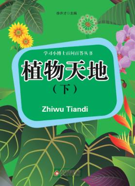 学飞小博士百问百答丛书 植物天地 下 封面