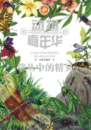 草丛中的精灵 封面