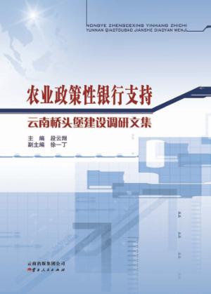 农业政策性银行支持云南桥头堡建设调研文集 封面
