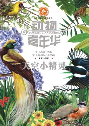 天空小精灵 封面