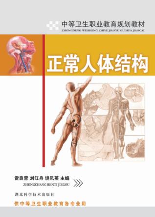 正常人体结构 封面