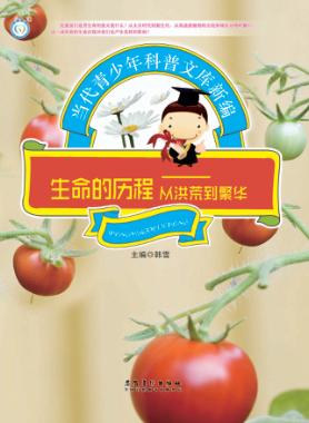 生命的历程 封面