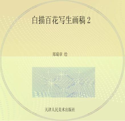 白描百花写生画稿  2