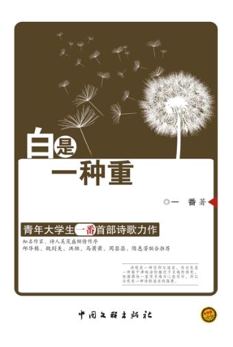 白是一种重 封面