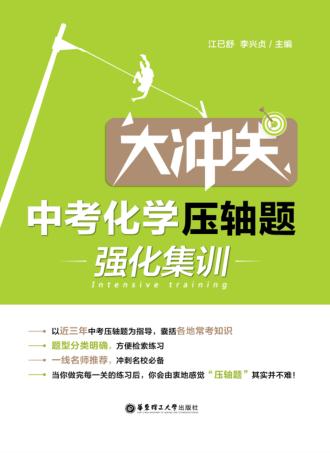大冲关  中考化学压轴题·强化集训 封面