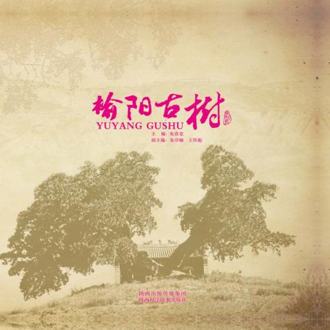 榆阳古树 封面