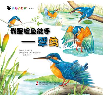 我是捉鱼能手 翠鸟 封面