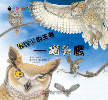 夜空下的王者 猫头鹰 封面