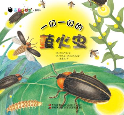 奇趣大自然系列 5 一闪一闪的萤火虫 封面