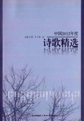 中国2012年度诗歌精选 封面