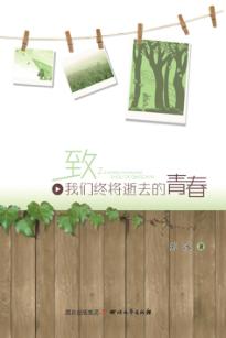 致我们终将逝去的青春 封面