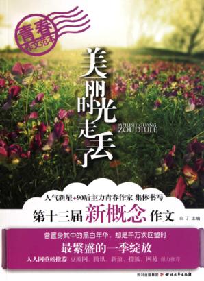 美丽时光走丢了  第十三届新概念作文 封面