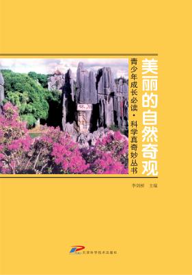 美丽的自然奇观  彩图版 封面