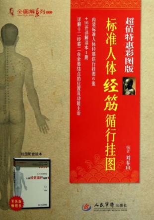 标准人体经筋循行挂图  详解读本 封面
