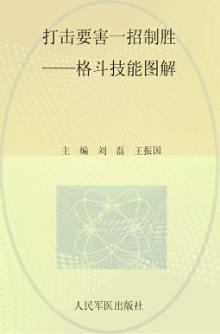 打击要害  一招制胜  格斗技能图解 封面
