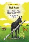 黑骏马 封面