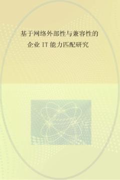 基于网络外部性与兼容性的企业IT能力匹配研究 封面