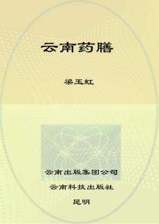 滇味美食丛书  云南药膳 封面