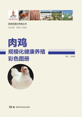 肉鸡规模化健康养殖彩色图册 封面