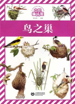 自然趣玩屋 鸟之巢 封面