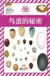 自然趣玩屋  鸟蛋的秘密 封面