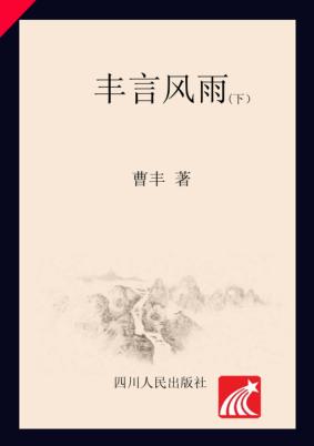 丰言风雨  下 电子书封面