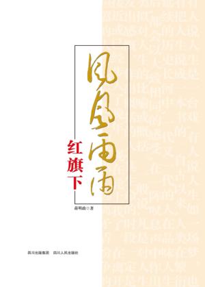 风风雨雨红旗下 封面