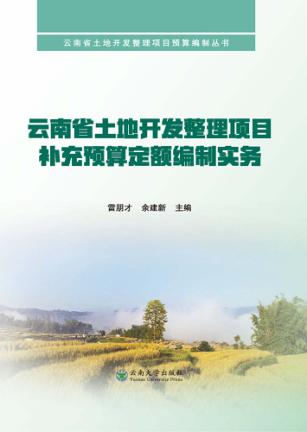 云南省土地开发整理项目补充预算定额编制实务 封面