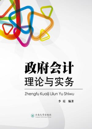 政府会计理论与实务 封面