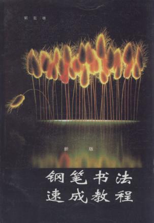 钢笔书法速成教程  新版 封面