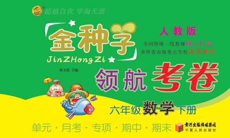 金种子  领航考卷  数学  六年级  下  人教版 封面