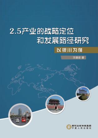 2.5产业的战略定位和发展路径研究 封面