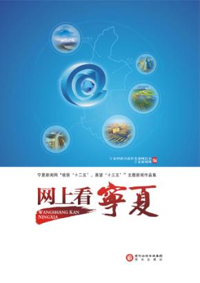 网上看宁夏  宁夏新闻网“收获‘十一五’,展望‘十三五’”主题新闻作品集 封面