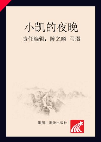分级阅读  第6级  小凯的夜晚 封面