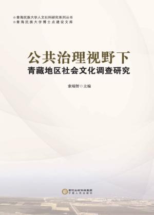 公共治理视野下青藏地区社会文化调查研究 封面