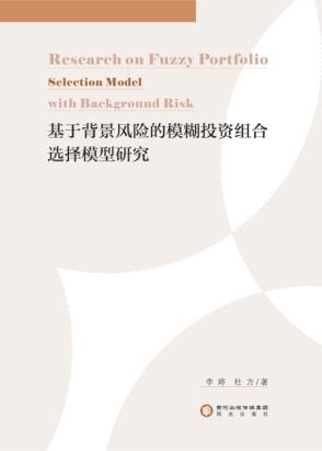 基于背景风险的模糊投资组合选择模型研究 封面