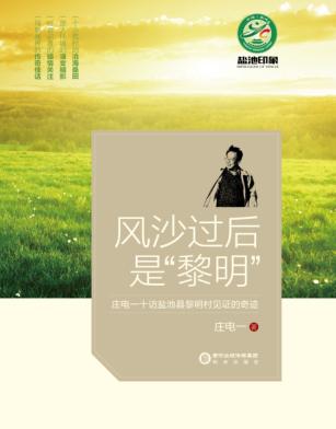 盐池印象  风沙过后是“黎明”  庄电一十访盐池县黎明村见证的奇迹 封面