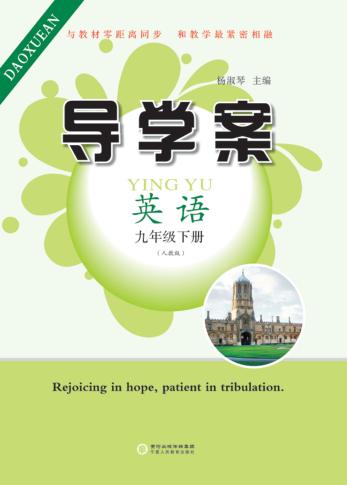 导学案  英语  九年级  下  人教版