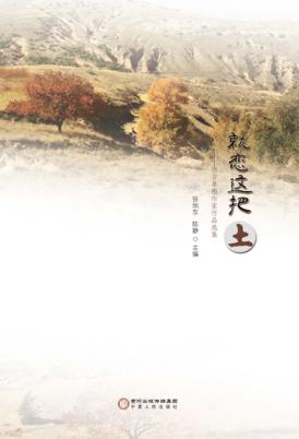 就恋这把土 西吉草根作家作品选集 封面