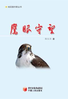 鹰眼守望  杂文随笔 封面