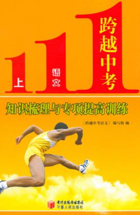 跨越中考语文  上  知识梳理与专项提高训练