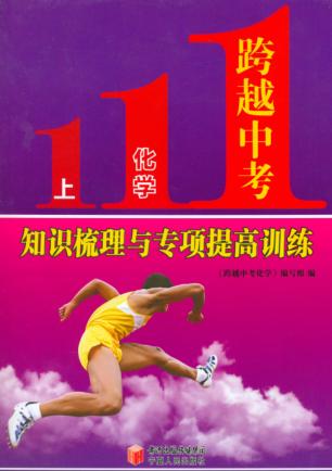 跨越中考化学  上  知识梳理与专项提高训练