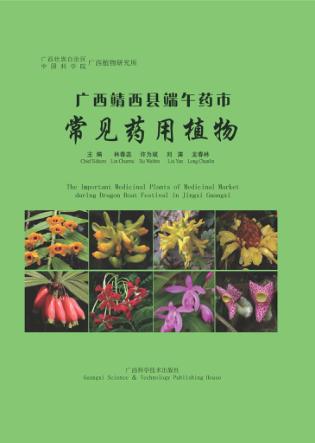 广西靖西县端午药市常见药用植物 封面