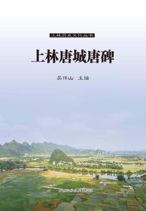 上林唐城唐碑 封面