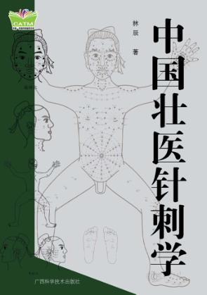 中国壮医针刺学 封面