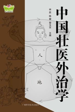 中国壮医外治学 封面