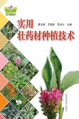 实用壮药材种植技术 封面