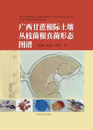 广西甘蔗根际土壤丛枝菌根真菌形态图谱 封面
