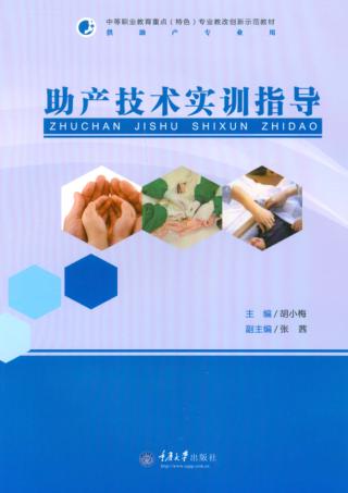 助产技术实训指导 封面